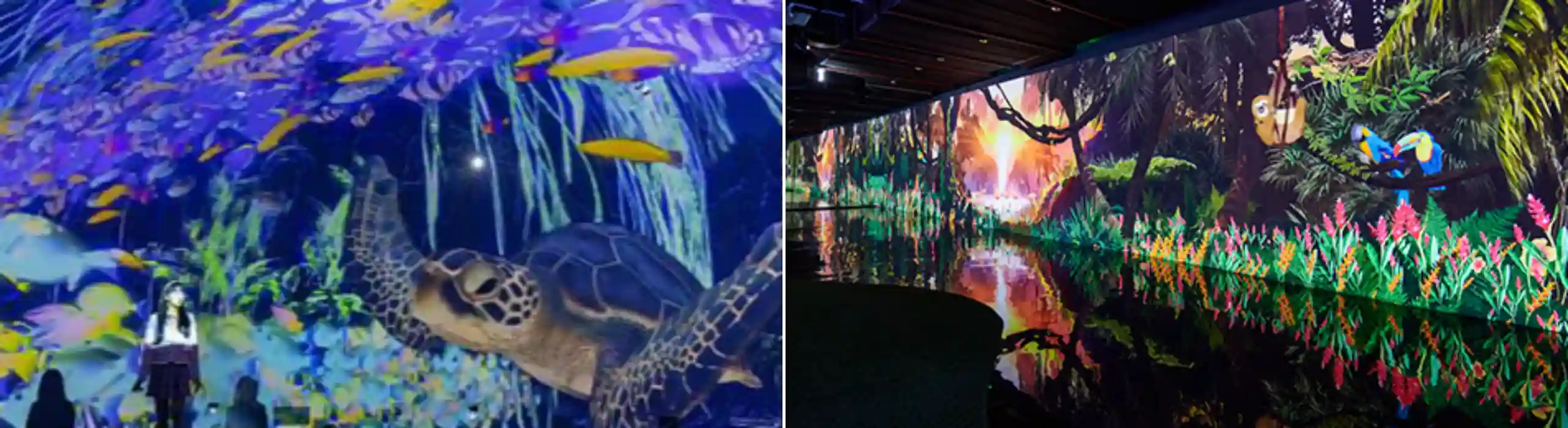 경주 정글이 법칙 사진