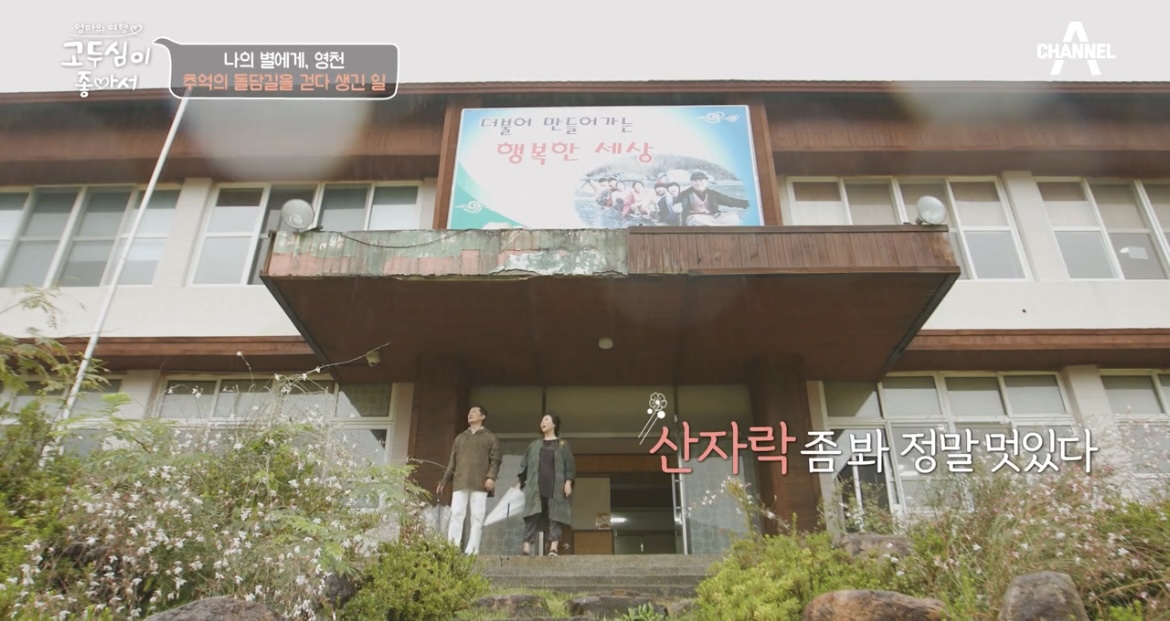 고두심이좋아서영천김치학교