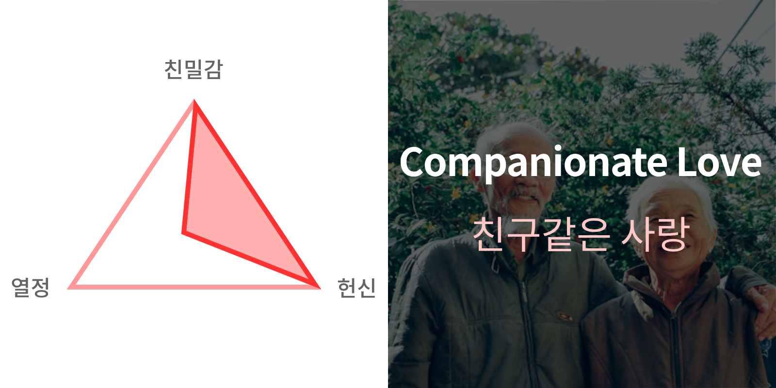 사랑의 형태 Companionate love
