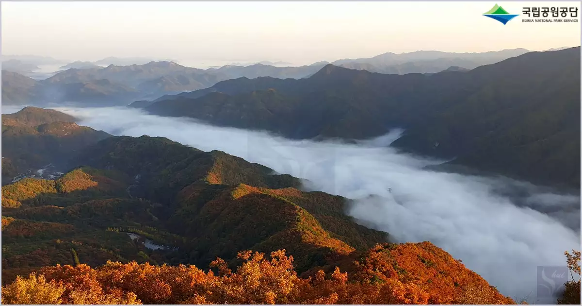 덕유산 단풍