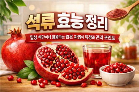 석류 효능