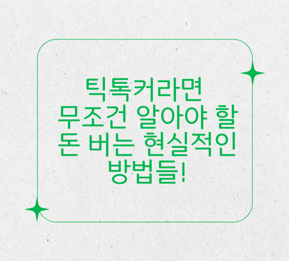 틱톡커라면 무조건 알아야 할 돈 버는 현실적인 방법들! 제목 이미지