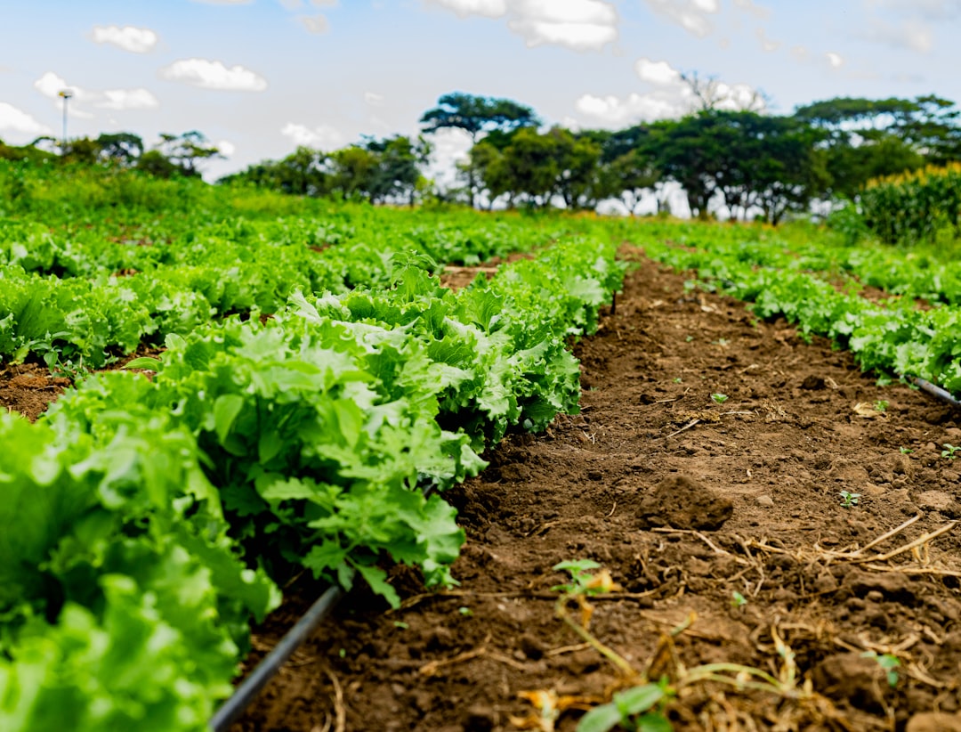 Agricultural