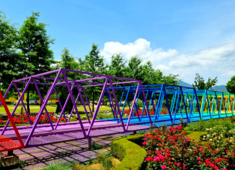 5월의 꽃&amp;#44; 곡성 장미꽃 축제