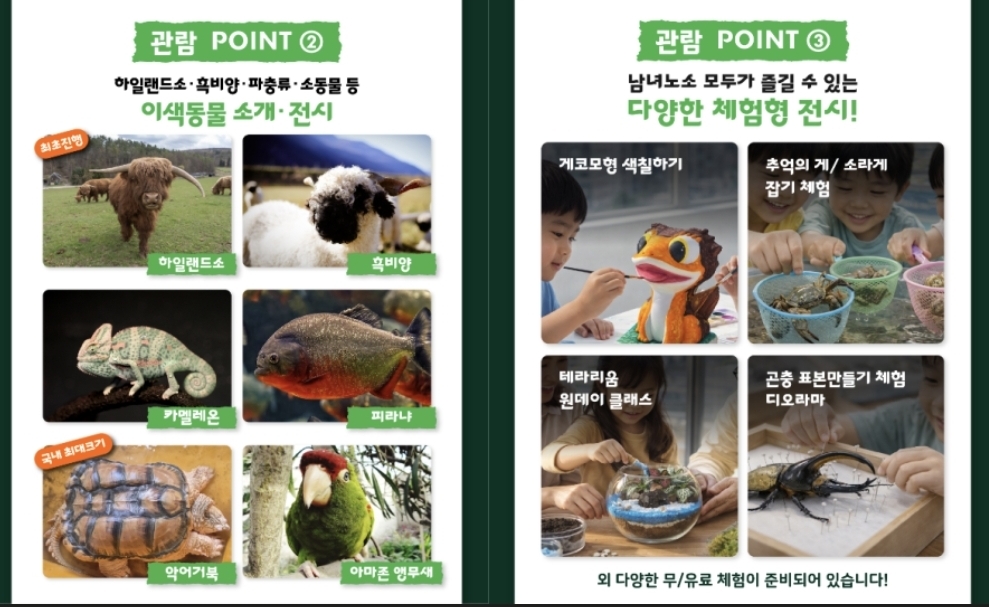 이색동물 다양한 체험