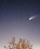 ENFP 유형 특징 분석