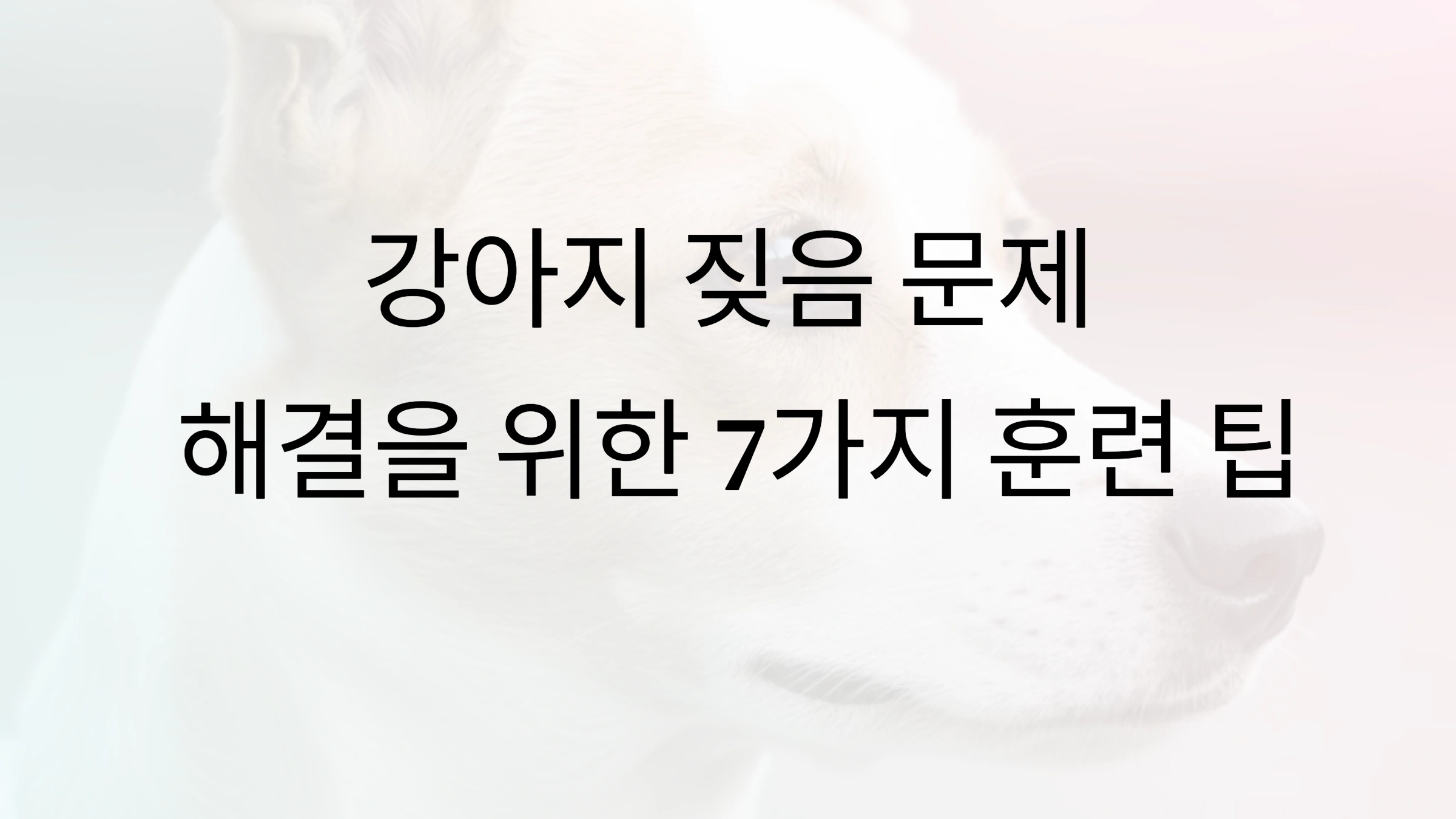 강아지 짖음 문제 해결을 위한 7가지 훈련 팁