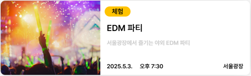 서울스프링페스타 EDM 파티