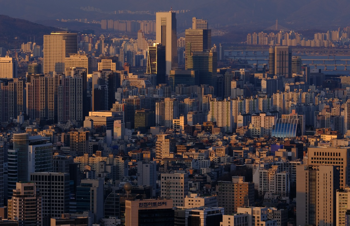 빌딩숲