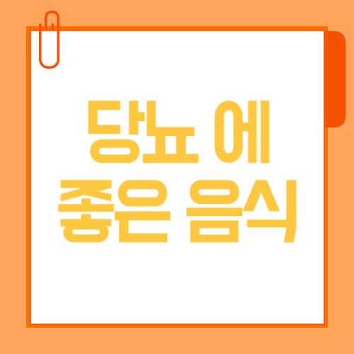 당뇨에 좋은 음식 리스트 총정리|피해야 할 음식까지 한눈에