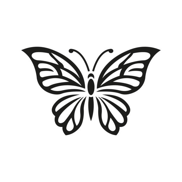 나비를 보고 슬픈 꿈