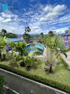 필리핀 세부 어학연수