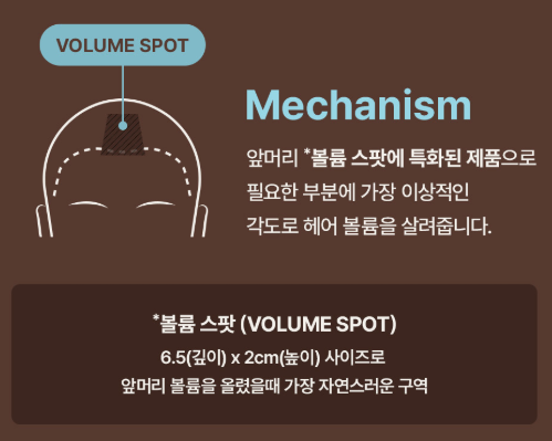 다슈-데일리-볼륨픽-사용-부위-설명