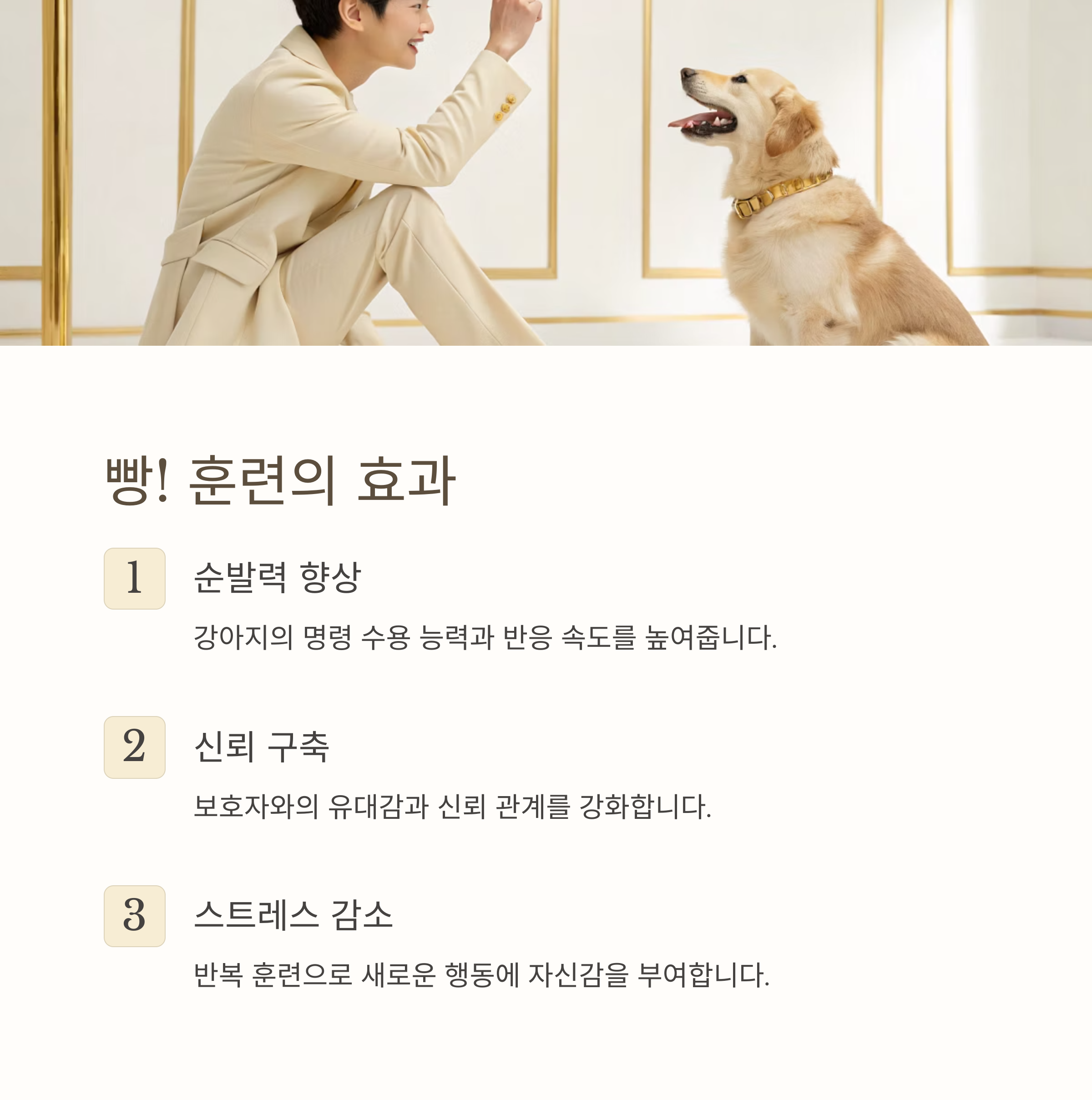 빵! 훈련의 효과