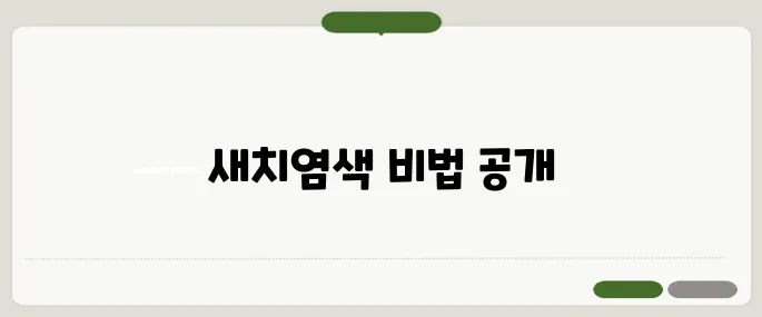 새치염색 주의사항 시간 절약 꿀팁