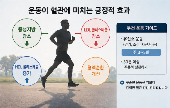 고지혈증 vs 중성지방 차이, 반드시 같이 관리해야 하는 이유