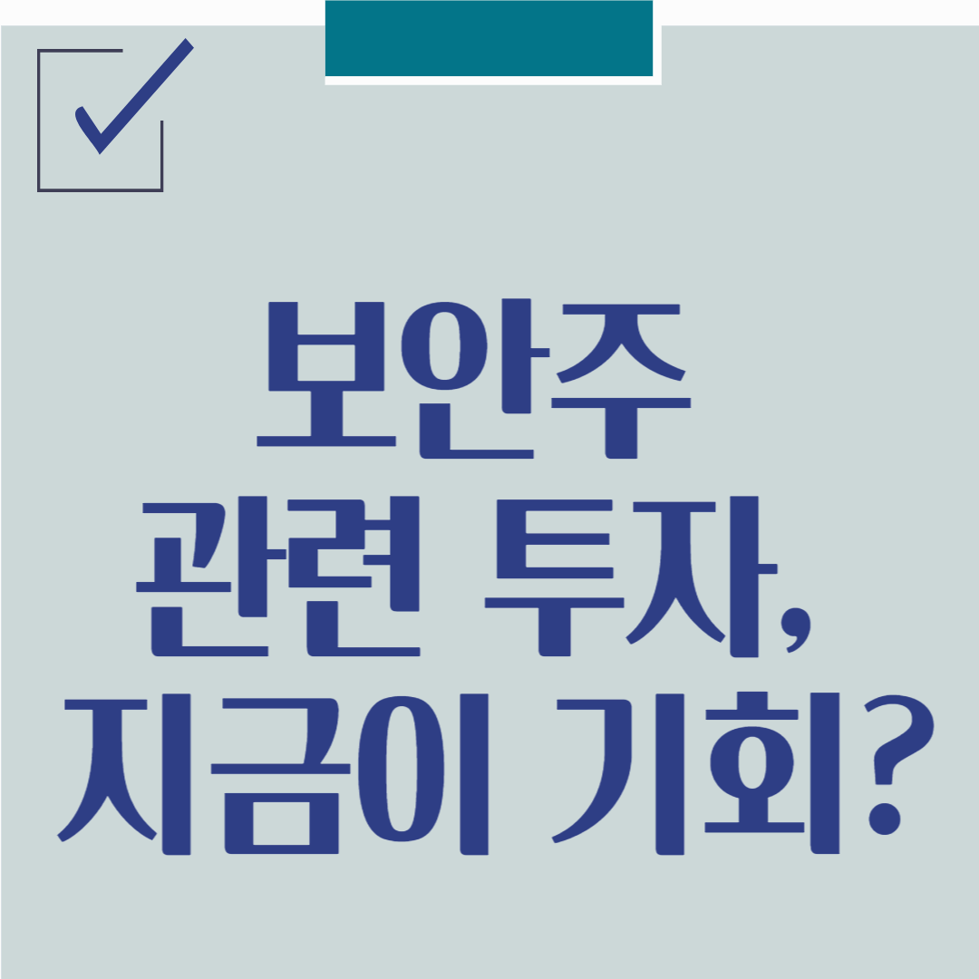 보안 관련주 투자 지금이 기회