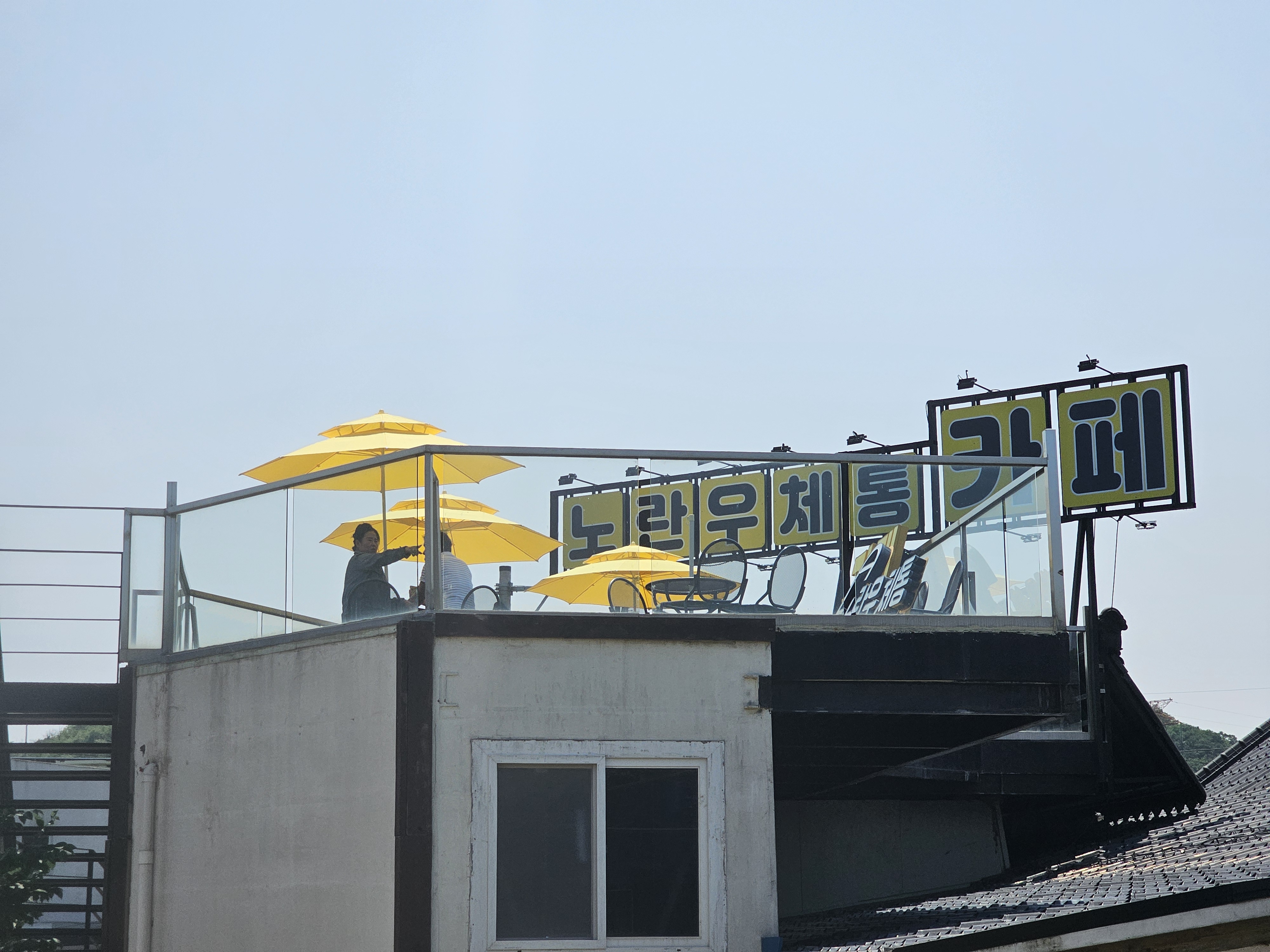 정원과 파라솔 배경