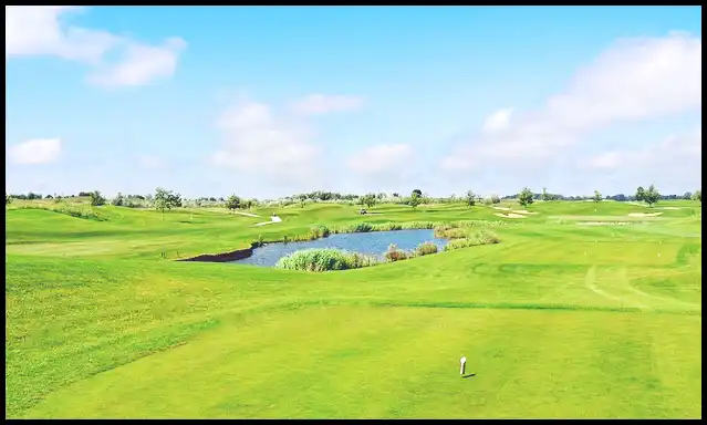 파크골프의 기본자세 (+ 퍼터 )