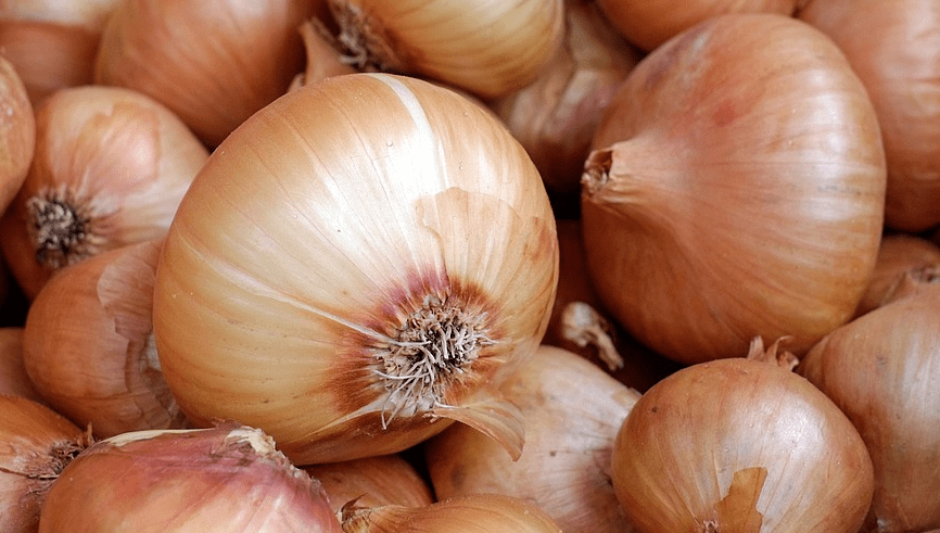 많은 양의 양파가 쌓여 있다