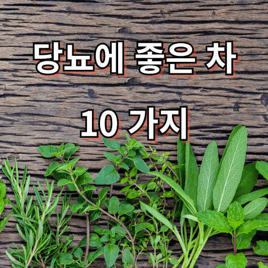 당뇨에 좋은 차 10가지