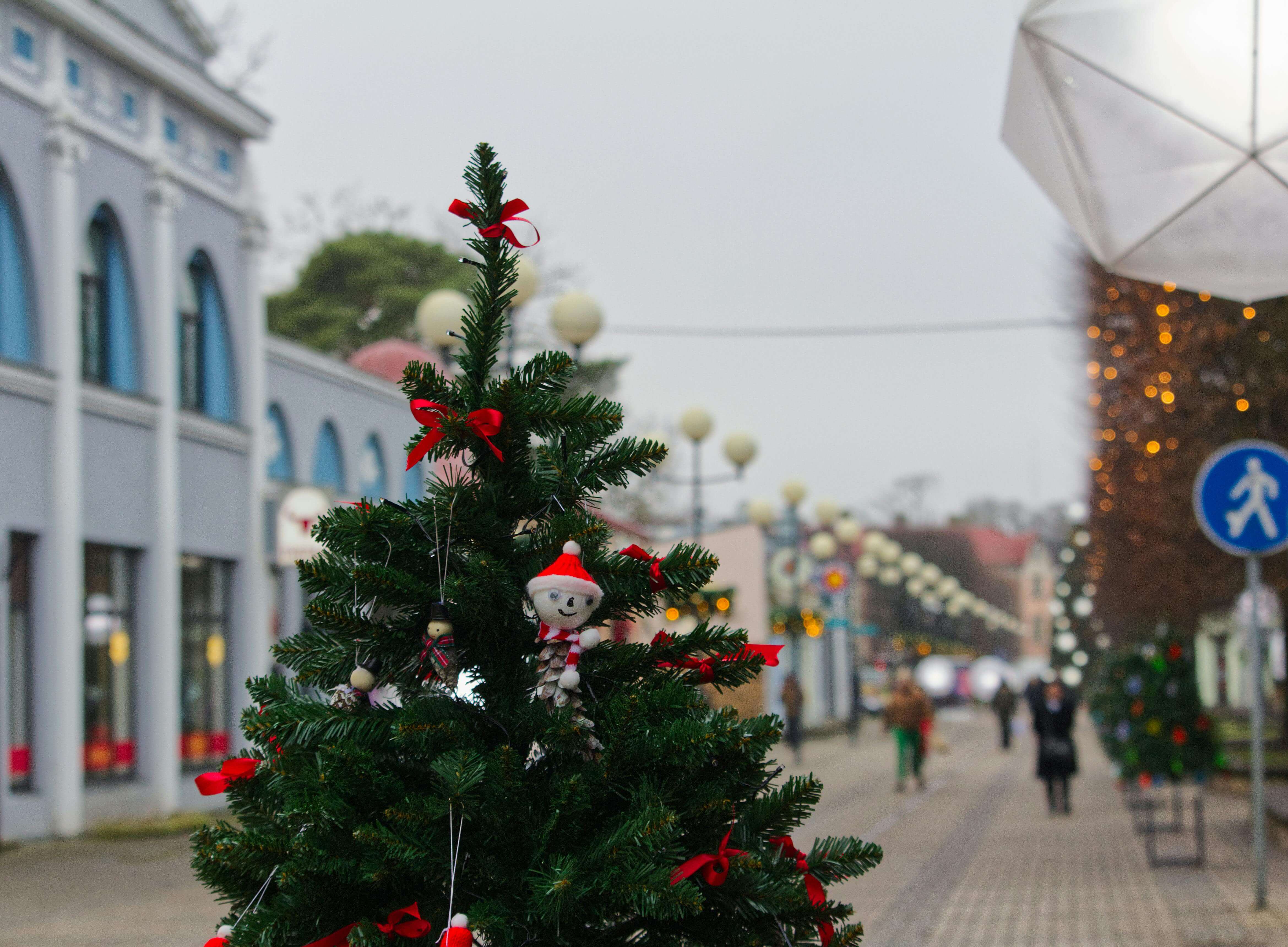 2025 서울 크리스마스 축제 BEST 5곳 정리