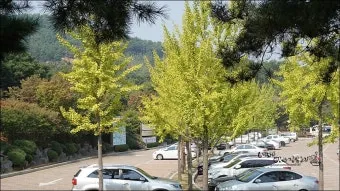 단합대회 인사말 모음 예시 메일_21