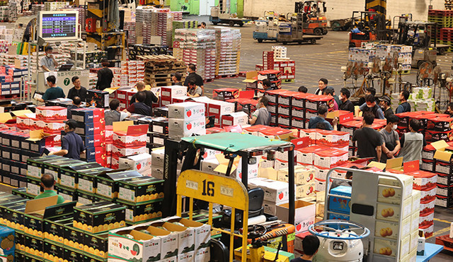 청년농 온라인도매시장 가입조건 면제&hellip;54개 규제혁신 추진