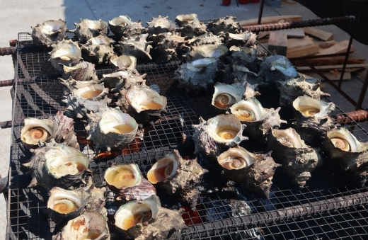 3월에 먹으면 좋은 제철 음식의 종류 Top 10 (봄철 음식) 두릅 냉이 쭈꾸미 취나물 씀바귀 바지락 달래 소라 부추 쑥