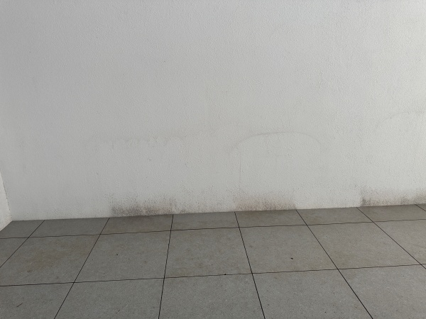 테스트 후 입니다. 벽면 곰팡이제거