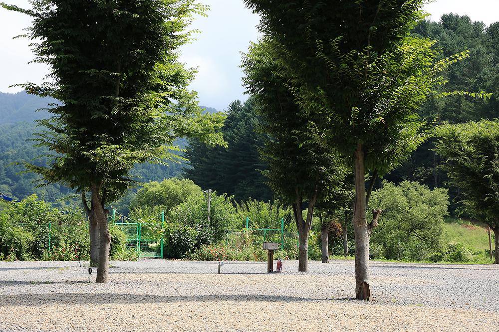 가평군 캠프올모 캠핑장 소개