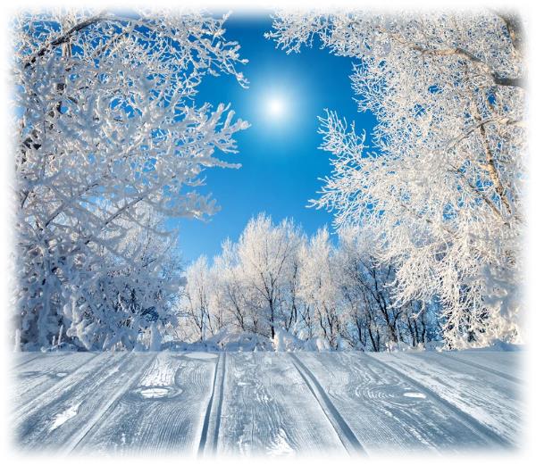 한겨울의 추운 바람과 눈: 자연의 예술 작품을 담은 산문