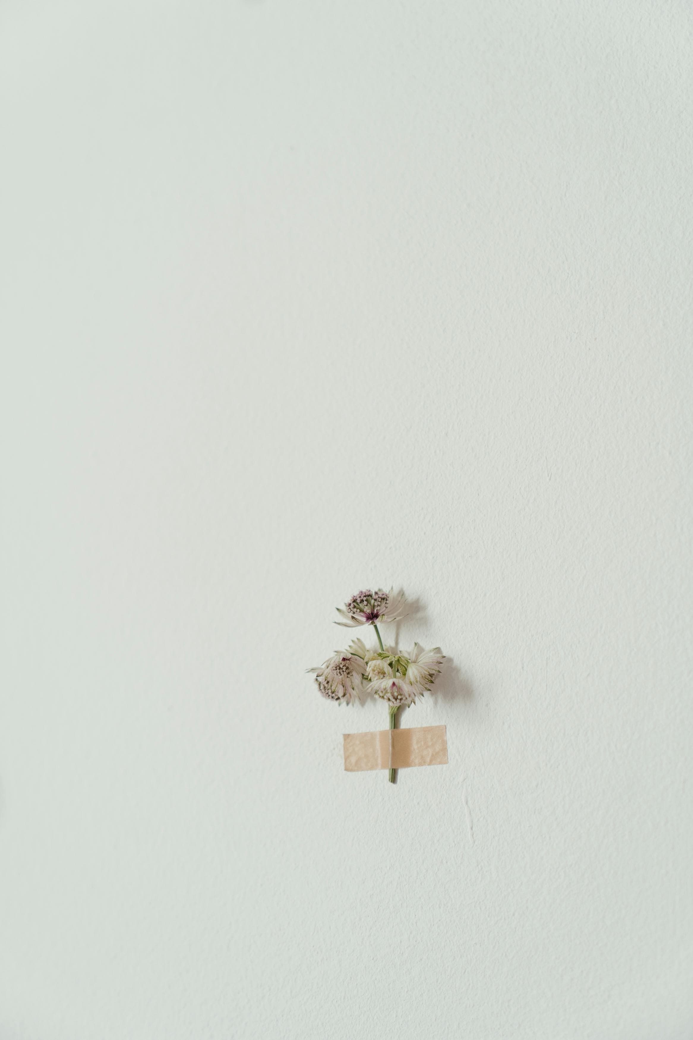 흉터