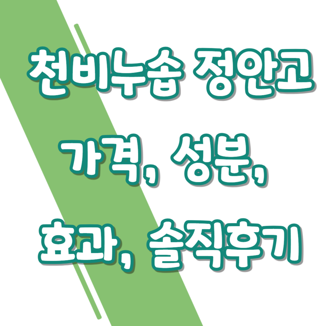 천비누솝 정안고