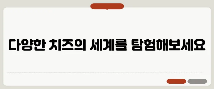 치즈 종류 한눈에 보기