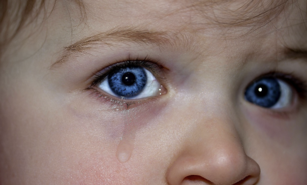 “감정 표현 교육: 억누르기보다 ‘표현의 품격’ 가르치기”