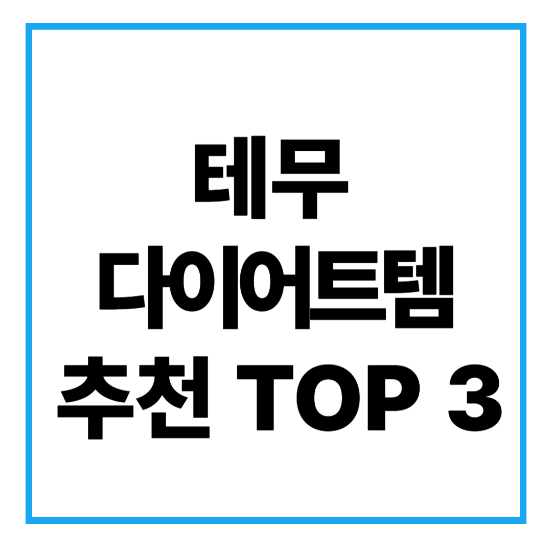 테무 다이어트 아이템 추천 내돈내산 후기 모음.zip
