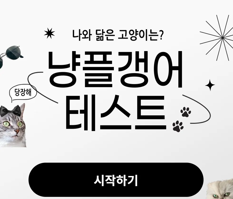 냥플갱어-테스트