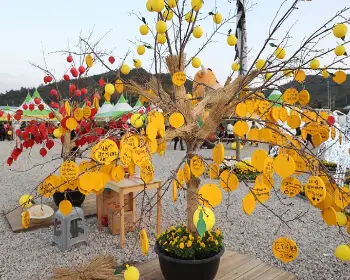 고흥 유자축제_7