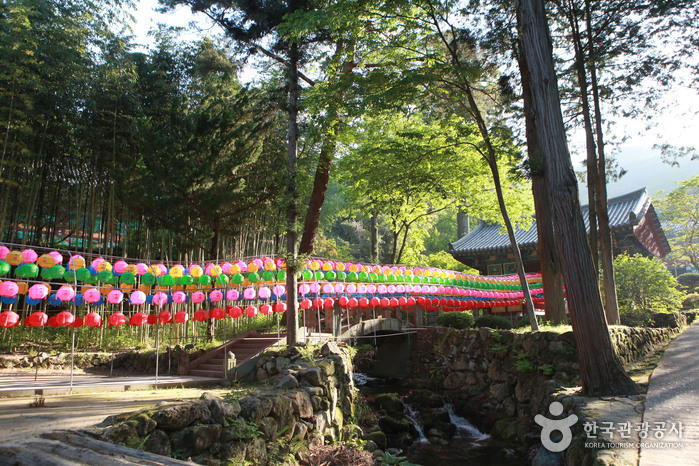 하동 가볼만한곳 베스트10