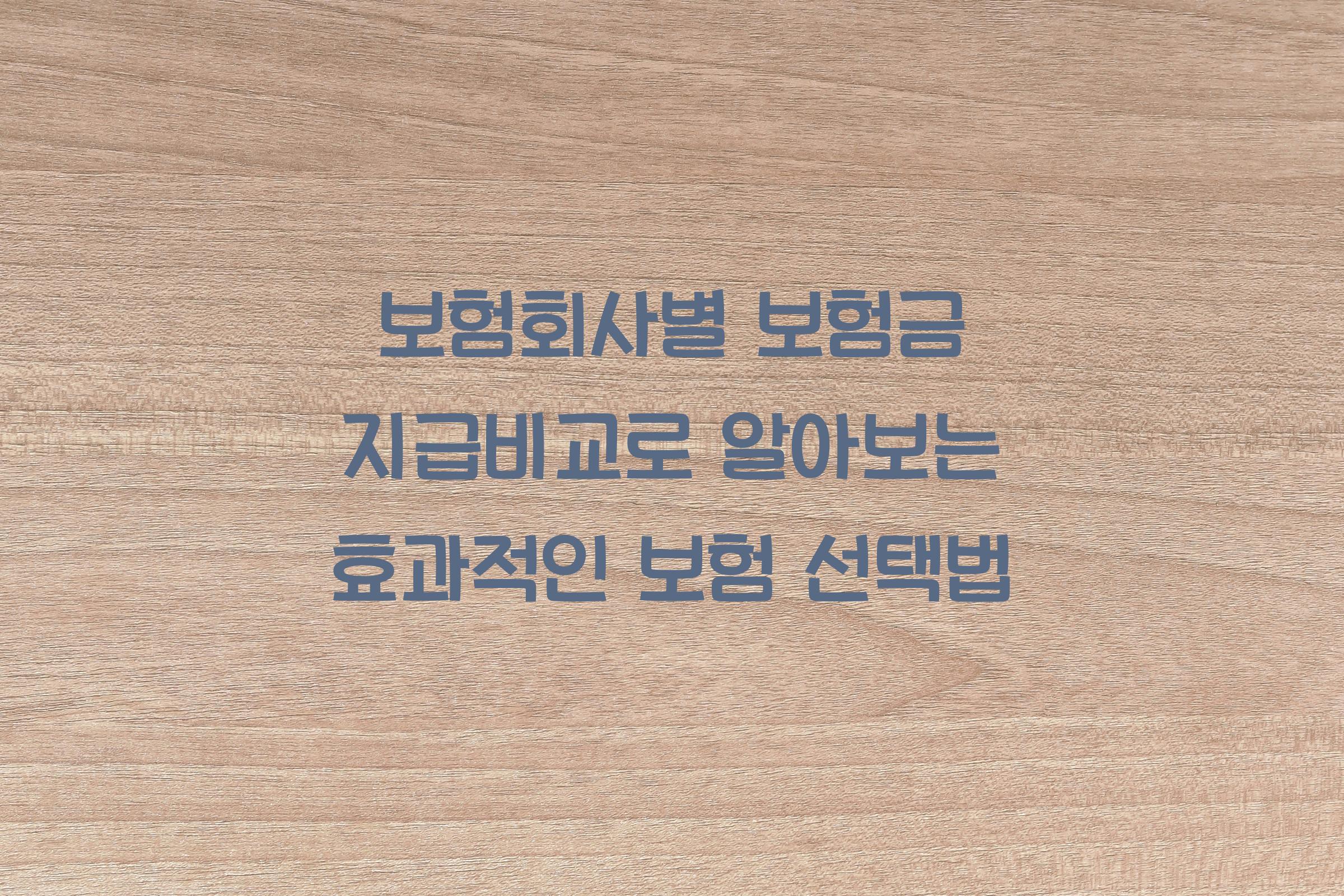 보험회사별 보험금 지급비교
