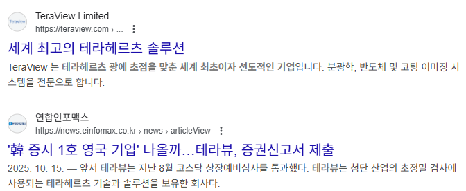 테라뷰홀딩스 공모주