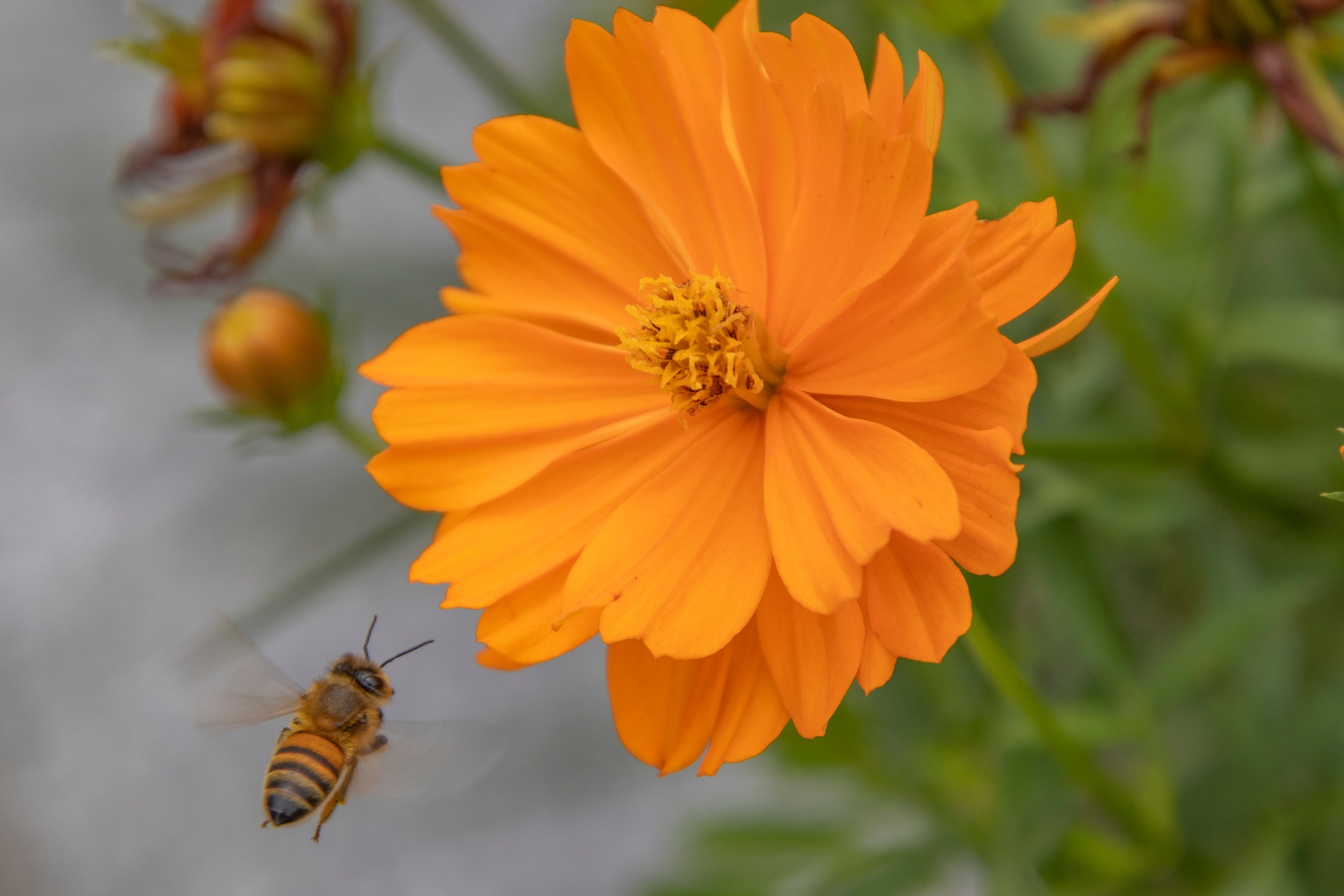 색채심리학 색상이 인간의 가짜 정보(Fake Content) 구별 능력에 미치는 영향