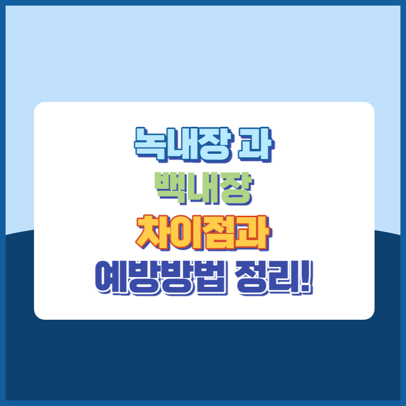 녹내장과 백내장 차이점과 예방방법 썸네일이미지