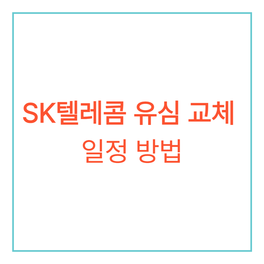 SK텔레콤 유심 교체