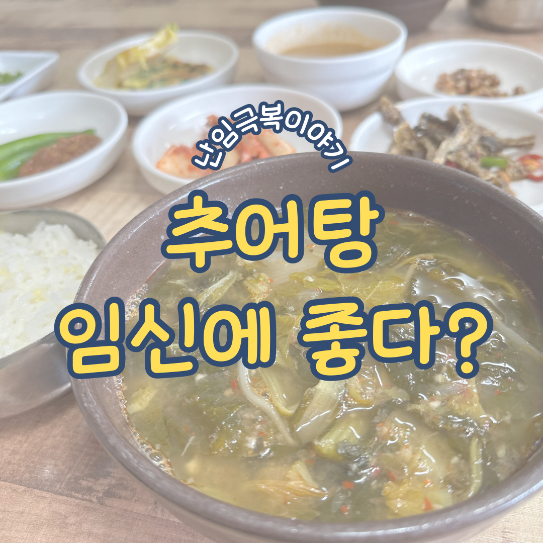 임신에 추어탕은 정말 도움이 될까? 난임 추천음식 알아보기