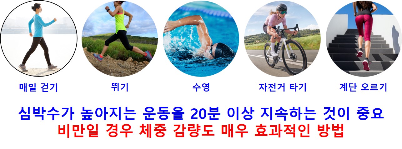 콜레스테롤