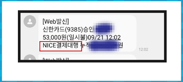 NICE결제대행 9900원? 나이스페이먼츠 나이스결제내역 조회 방법 총정리