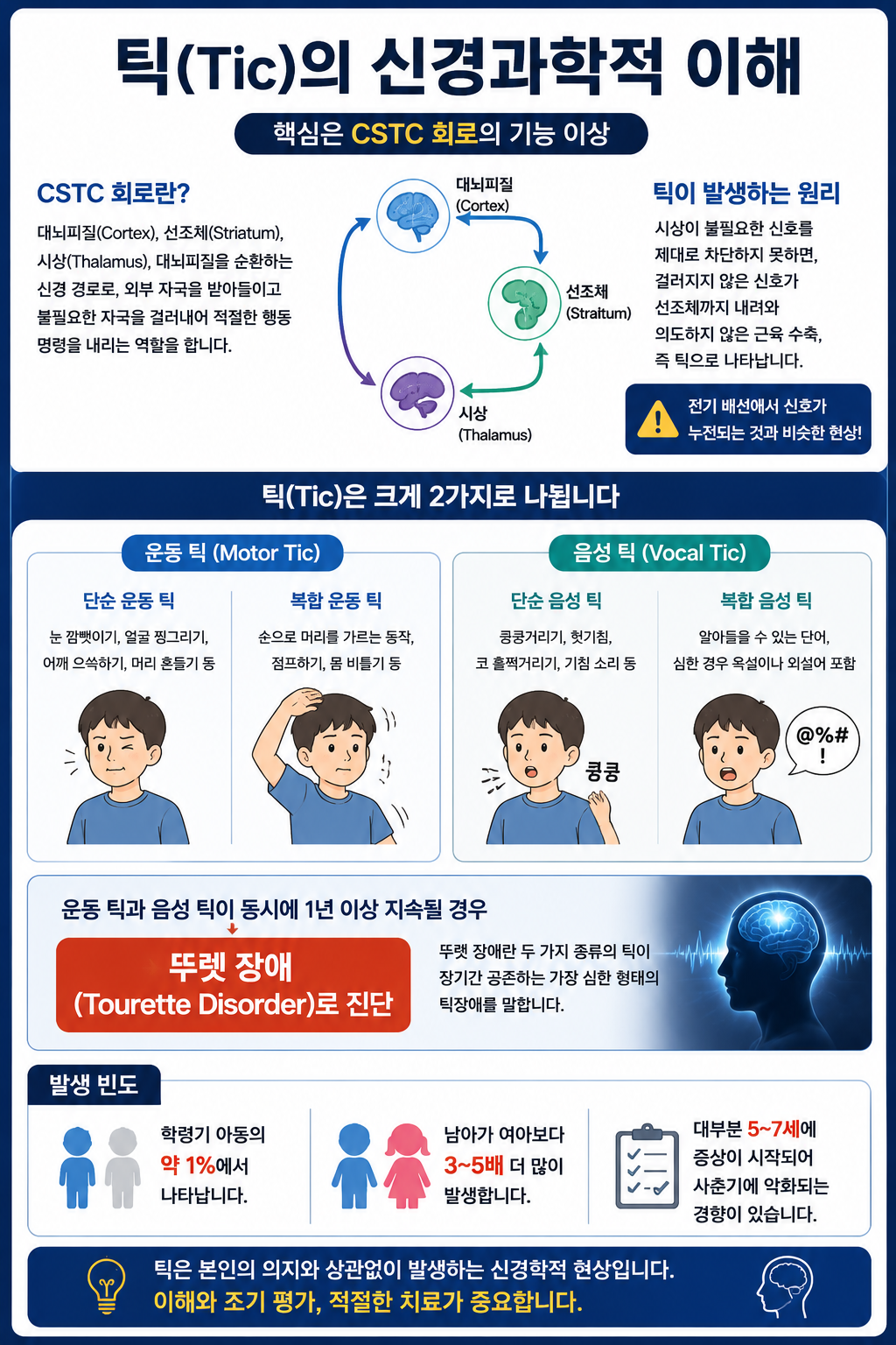 틱의 신경과학적 이해 정리