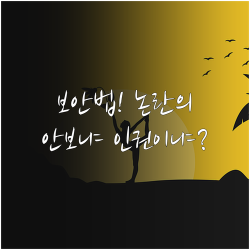 국가보안법 존폐론 70년 대치 안보 ..